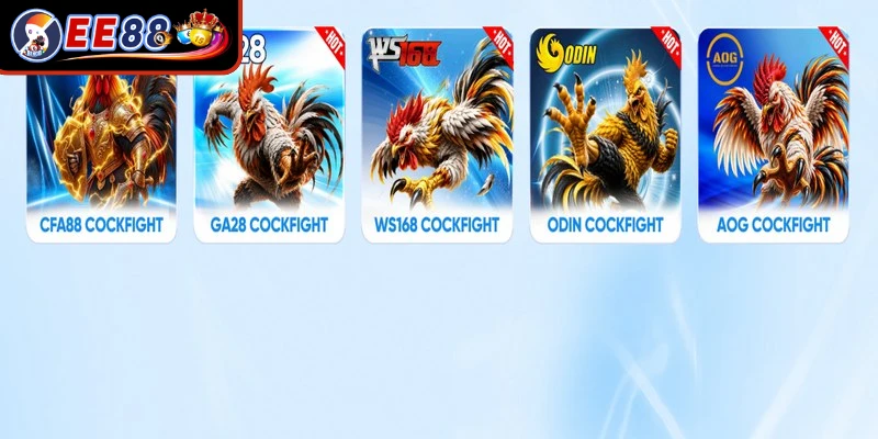 Đá gà EE88 mang lại cho hội viên các cuộc đối đầu nảy lửa đỉnh cao