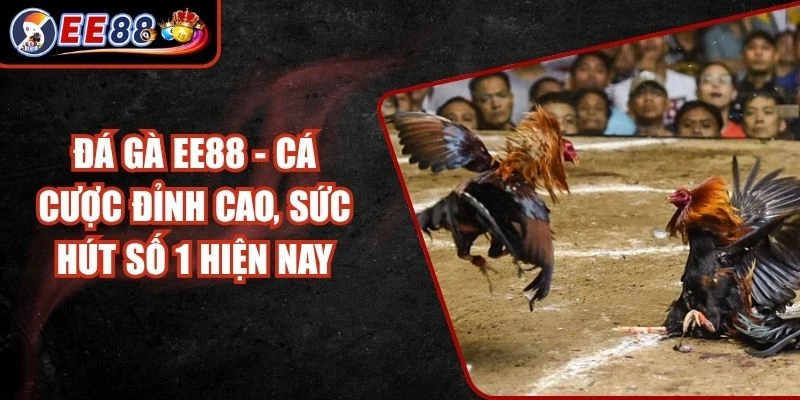 Đá Gà EE88